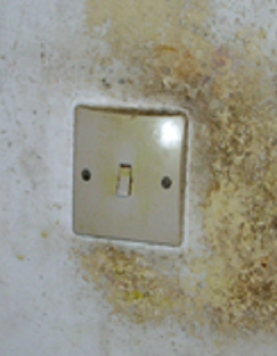 Dirty light switch
