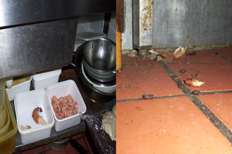 Food stored under the sink and rat droppings
